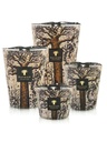 Baobab kaars Sacred Trees Morondo